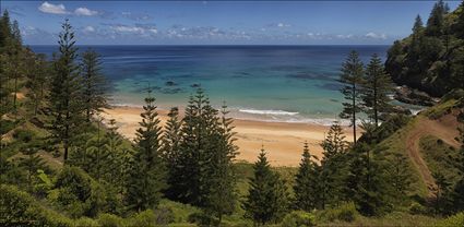 Anson Bay - Norfolk Island - NSW T (PBH4 00 12130)